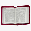 Picture of Holy Bible (45ZA) NVD