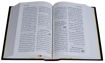 Picture of Holy Bible 43 P