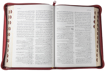 صورة الكتاب المقدس بالخلفيات التوضيحية - بالفهرس بسوستة