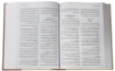 صورة الكتاب المقدس بالخلفيات التوضيحية (حجم كبير) غلاف مقوى