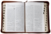 Picture of Holy Bible & Study Notes - L. Print