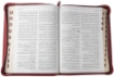 صورة الكتاب المقدس بالخلفيات التوضيحية (حجم كبير) بالفهرس بسوستة