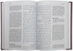 Picture of NewTestament (Arabic - French)